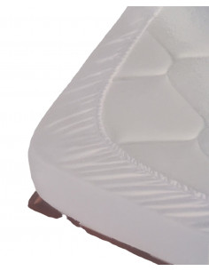 Čaršaf Elena's (aloe vera) 200 x 200 2