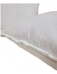 Lux jastuk Aloe Vera 50 x 70 2