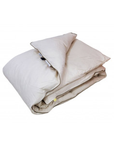 Perjani jorgan 140 x 200 Downpass